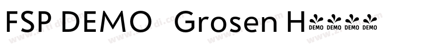 FSP DEMO   Grosen H字体转换